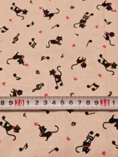 Item thumbnail for item 9feb61fe-d17c-4a52-8857-376b165bc8b0