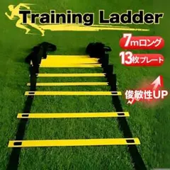 トレーニング ラダー 子供 サッカー バスケ スポーツ 基礎 瞬発力 7m