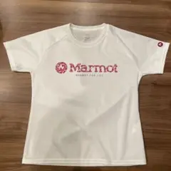 マーモットMarmot メッシュTシャツ 半袖 ホワイト