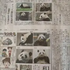 Item thumbnail for item eb443f9b-dd8f-4abe-af0f-914ae1ab1ee2