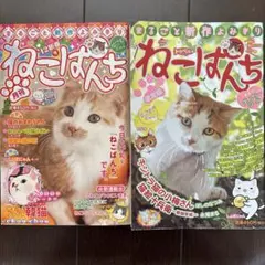 Item thumbnail for item 65eae352-5a22-4979-bf98-660db9421c5f