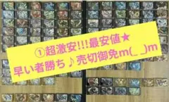 ①★超激安！早い者勝ち!!✨特価250円〜☆2枚〜選択要♪ポケモンフレンダ