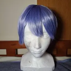 コスプレ ウィッグ にじさんじ Dytica 小柳ロウ - メルカリ
