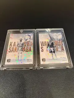 Item thumbnail for item 8d8c6e76-c03e-488c-a08f-85419fb1361e