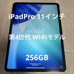 iPadPro 11インチ 第4世代 訳あり