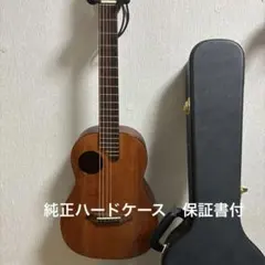 2026年最新】k.yairi アコースティックギターの人気アイテム - メルカリ