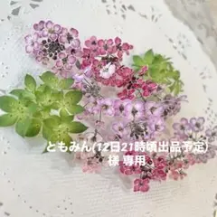 ともみん(12日21時頃出品予定)様 リクエスト 4点 まとめ商品