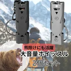 Item thumbnail for item cc6019cd-ef41-41c8-b71f-90b530ebab50