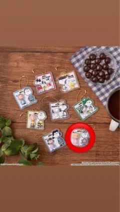 PEANUTS SNOOPY パッケージチャーム&チョコボーロ ファミマ