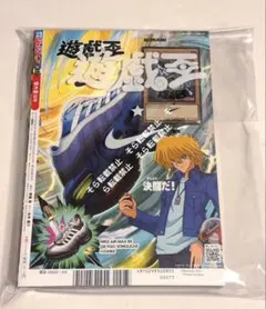 遊戯王 ナイキ コラボ レッドアイズブラックドラゴン 未開封 - メルカリ