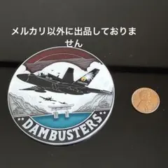アメリカ海兵隊 レッドデビルズ 100周年 チャレンジコイン 岩国 - メルカリ