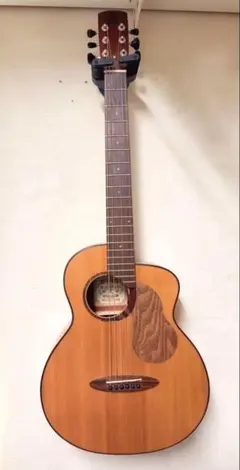 2026年最新】anuenue bird guitarの人気アイテム - メルカリ