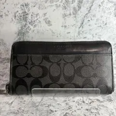 大人気✨ coach ダブルジップ トラベルオーガナイザー シグネチャー 2