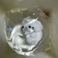 momo スクイーズ 海洋1弾 アザラシ