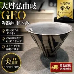 大貫弘由岐 鉢 GEO 大貫弘由岐 GEO 大鉢 - メルカリ