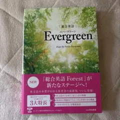 yuutaeiji様 リクエスト 2点 まとめ商品