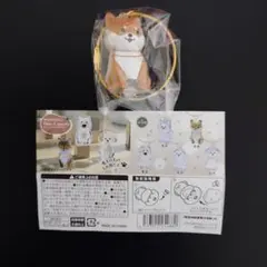 わんこのタイムカプセル まめ