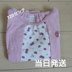UZULANDイチゴのロンT