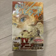 Item thumbnail for item 039ba23a-f1a6-4e57-b1b4-0cc896372955