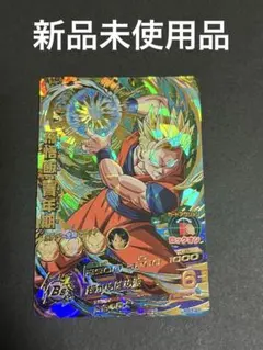 HG7-42 孫悟飯:青年期