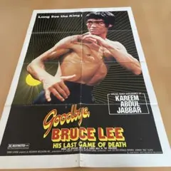 ブルース・リー　海外ポスター