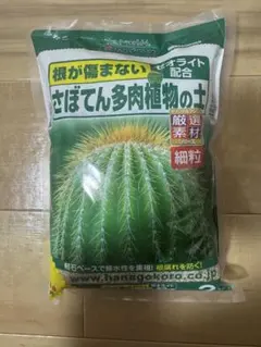 定価7万越冬 柱サボテン 鬼面角 発根 ドライガーデン ロストラータ