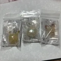 ポケモン ポケピース めじるしアクセサリー