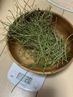 Item thumbnail for item 6c6c3e6e-2bb2-463e-ac2e-7053585c41a2