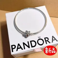 m断捨離中様】専用ご購入ページ PANDORA フローティングロケットセット
