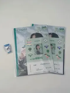 目黒蓮 ネピア 非売品 ティッシュケース 当選品 - メルカリ