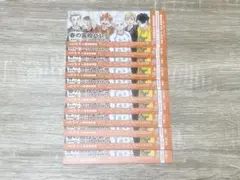 2026年最新】ハイキュー ショーセツバン チケット風しおりの人気