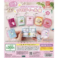 豆ガシャ本 サンリオキャラクターズ プロフィール帳