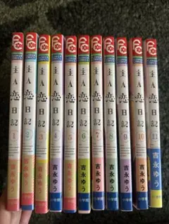 主人恋日記 全11巻セット