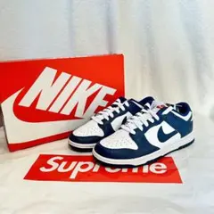 NIKE ダンク　24.5