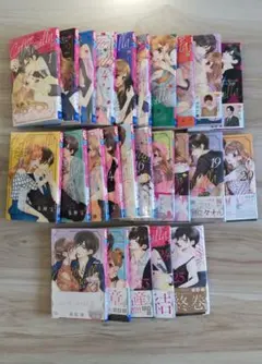 コーヒー&バニラ 全巻 セット 12.5巻 ファンブック スーツ&バニラ 朱