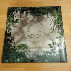 ニーアオートマタ ニーアレプリカント アナログレコード 2B カイネ