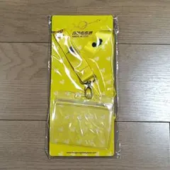 香港ディズニーランド　マジックアクセス　年パス　ストラップ　パスケース B