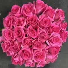 バラ（切り花 ・生花）フェリシタル　30㎝　30本　産地直送❗️鮮度抜群❗️濃ピンク