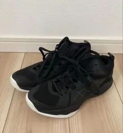 バッシュ23