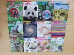 しぜんシリーズ 絵本 12巻セット