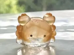カニのスクイーズ　秋　ハロウィン