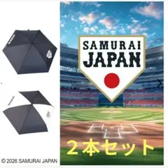 堂本剛平安神宮奉納演奏2025 日傘 - メルカリ