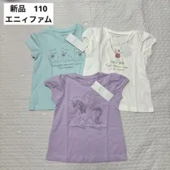 新品 any FAM Tシャツ 3枚セット 110cmのサムネイル