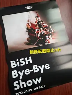 2025年最新】bish ポスターの人気アイテム - メルカリ