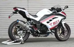 BEET 　NASSERT Evolution TypeII Ninja250のサムネイル