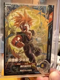 カ*ル様 孫悟飯・少年期 大会　SDVTP-005