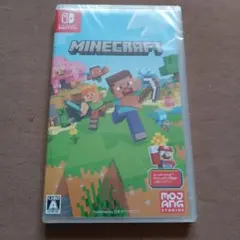 Minecraft Nintendo Switch版