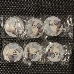 Dr.STONE オンリーショップ アニメイト ジュエリー缶バッジ ゼノ