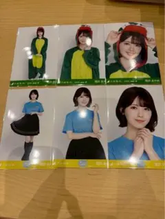 菅原咲月 真夏の全国ツアー2026 ツアーTシャツ 恐竜 福井 6種 菅原咲月 真夏の全国ツアー2026 ツアーTシャツ 恐竜 福井 6種 - メルカリ