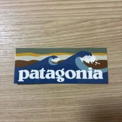 新品未使用品パタゴニア公式ステッカー１枚早いもの勝ち‼️